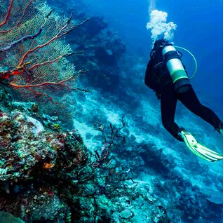 Scuba diver exploring the Great Barrier Reef.