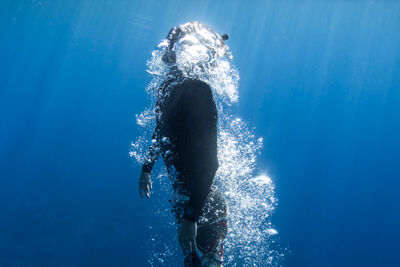 Freediving
