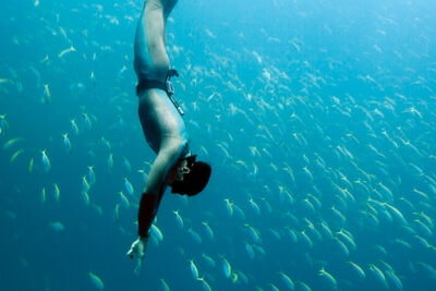 Freediver