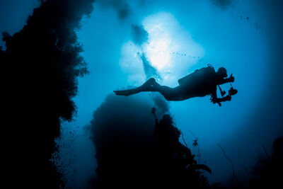 Deep sea wreck diving.