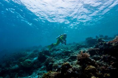 Diver in Raja Ampat.