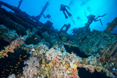 Divers exploring a wreck in Marsa Alam, Egypt.