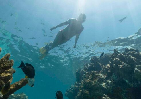Person swimming over reef in Zanzibar.