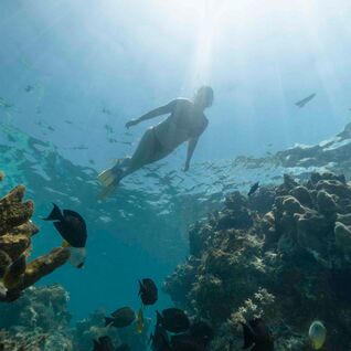 Person swimming over reef in Zanzibar.