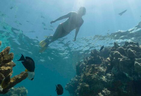 Person swimming over reef in Zanzibar.