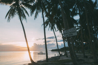 Beach in Bohol, Philippines.